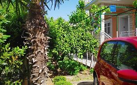 Apartman Antulov Srima